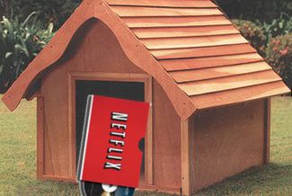 Netflix: in the doghouse now